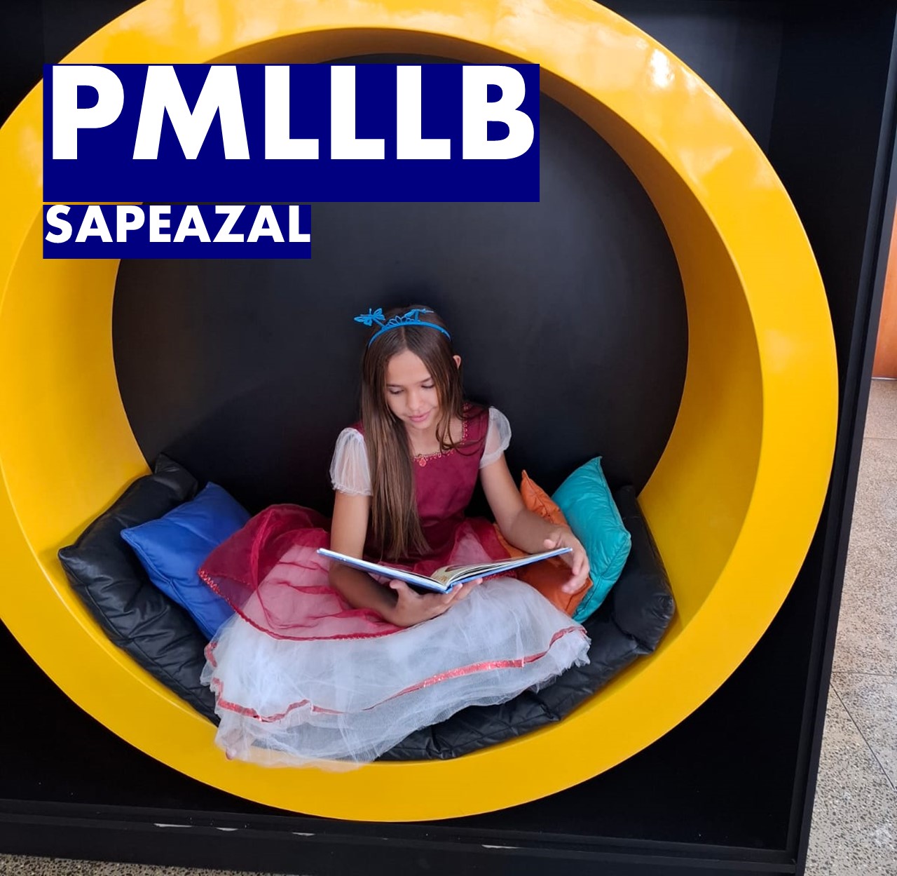 PLANO MUNICIPAL DO LIVRO, LEITURA, LITERATURA E BIBLIOTECAS DE SAPEZAL