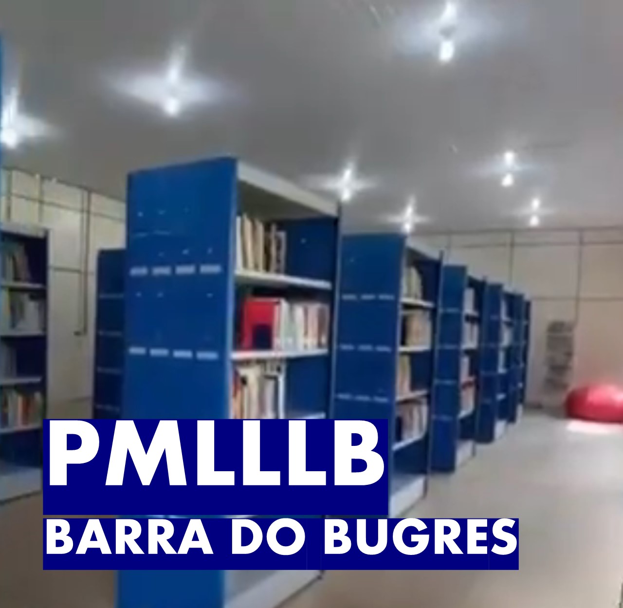 BARRA DO BUGRES - PLANO MUNICIPAL DO LIVRO, LEITURA, LITERATURA E BIBLIOTECAS