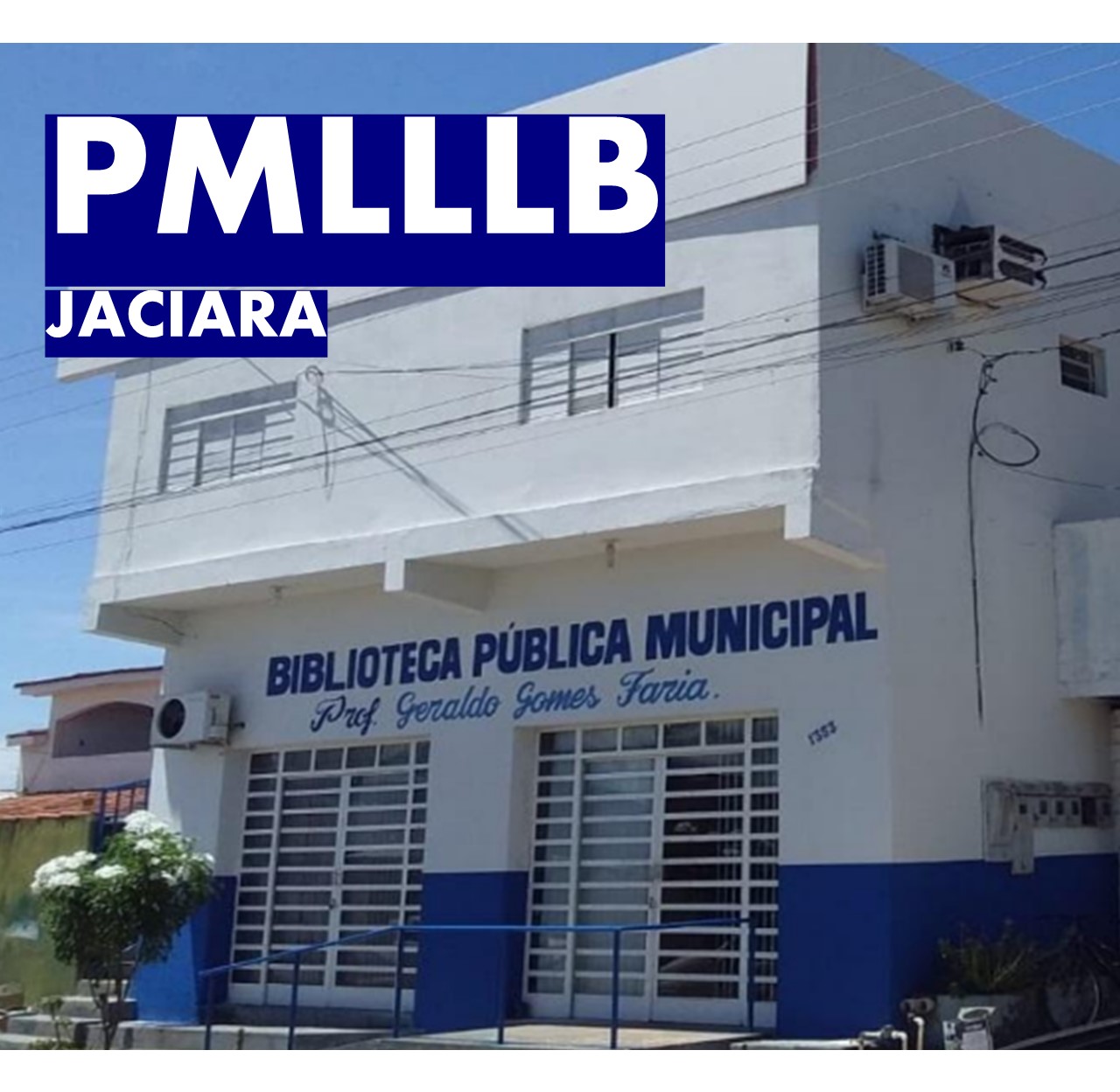 JACIARA - PLANO MUNICIPAL DO LIVRO, LEITURA, LITERATURA E BIBLIOTECAS